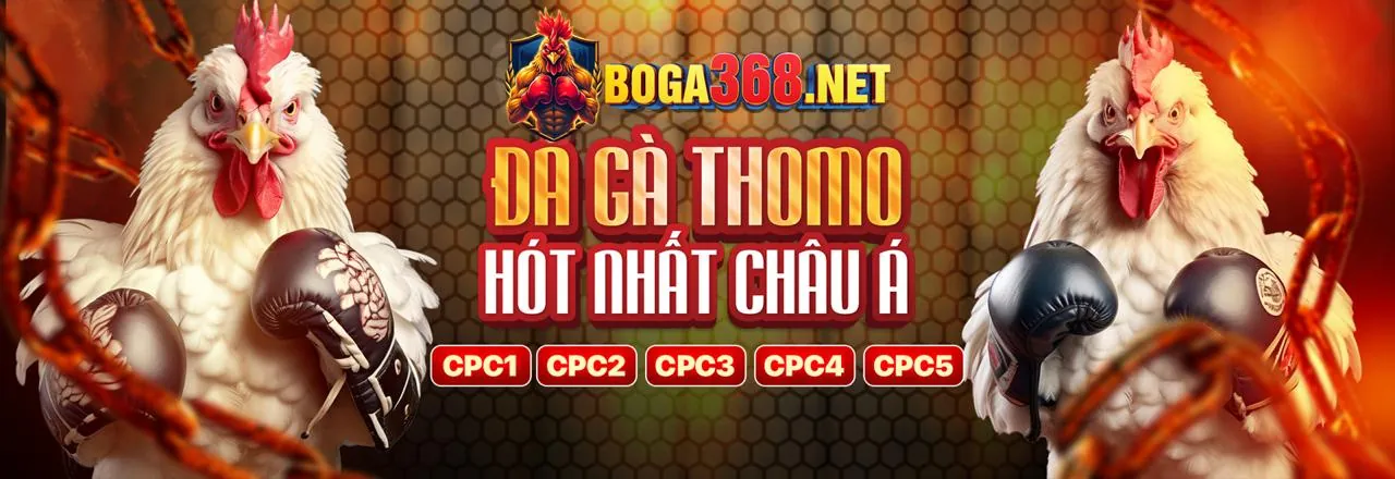 Đá Gà Trực Tuyến tại pk14 Trang Chủ Chính Thức